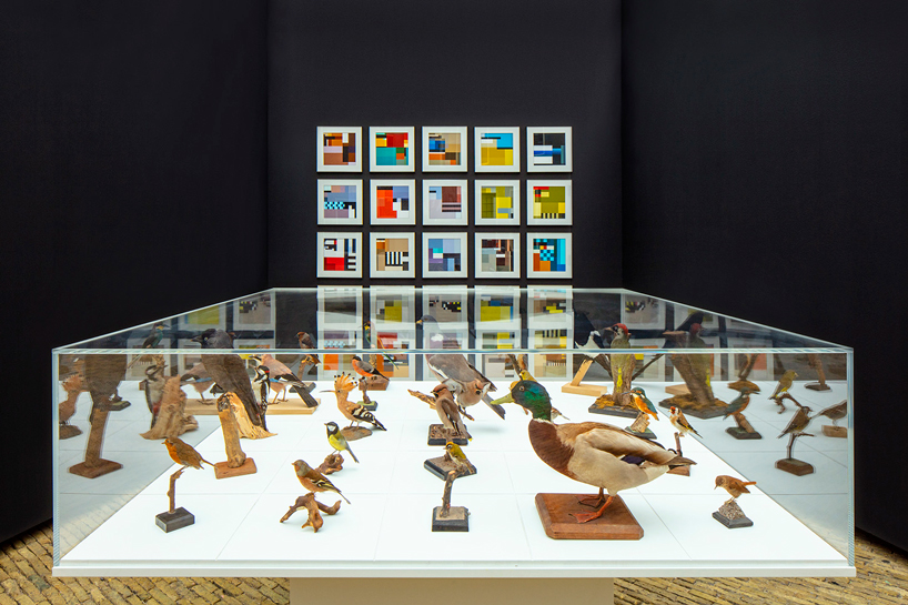 BLOCBIRDS transforms the beauty of birds into colorful graphic images designboom