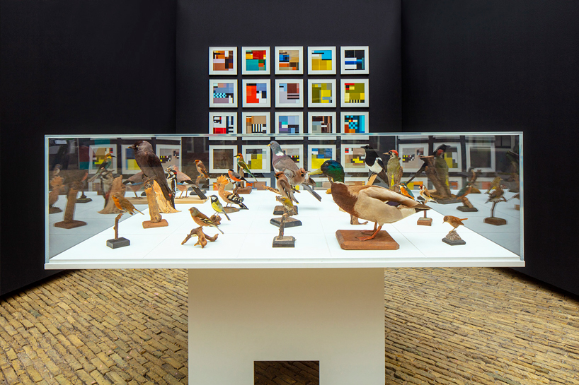 BLOCBIRDS transforms the beauty of birds into colorful graphic images designboom