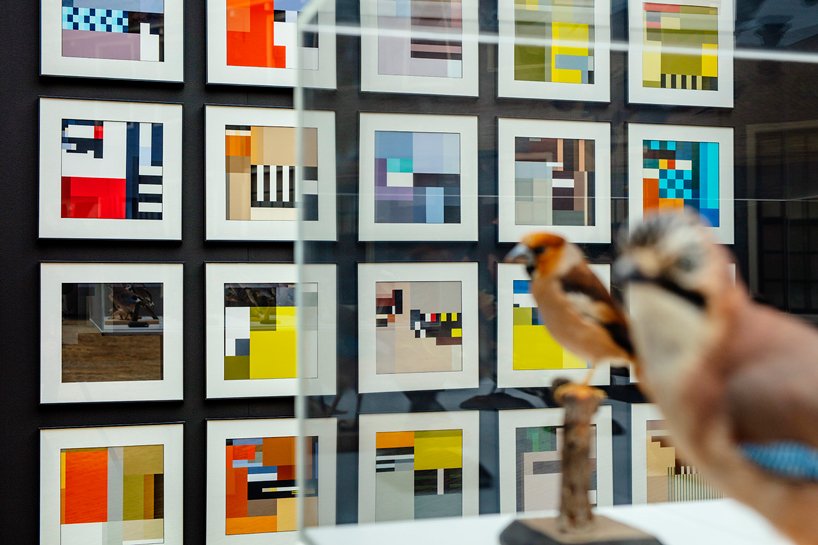 BLOCBIRDS transforms the beauty of birds into colorful graphic illustrations