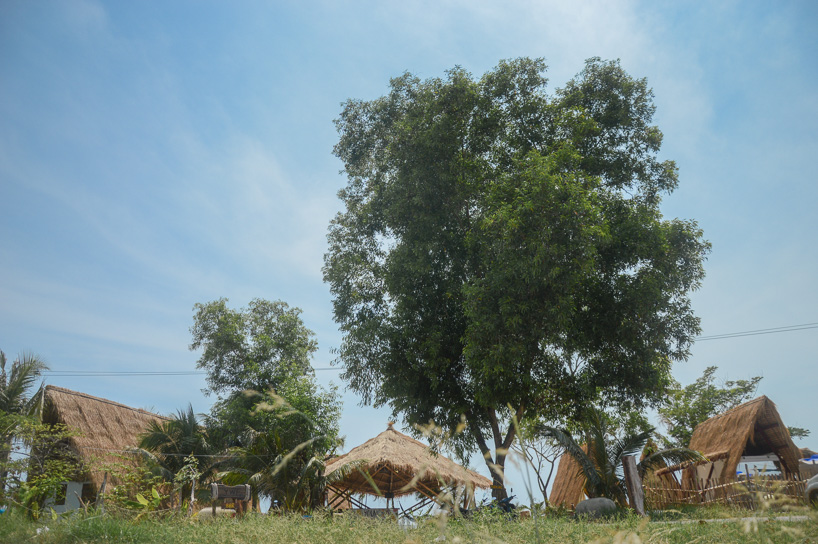 estudio cavernas builds a beach getaway using bettle nut palm trunks and bamboo on the shores of cambodia 1