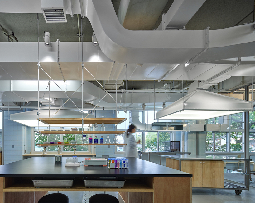 biolab at kyushu university 1