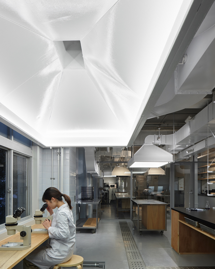 biolab at kyushu university 2