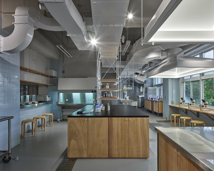 biolab at kyushu university 3