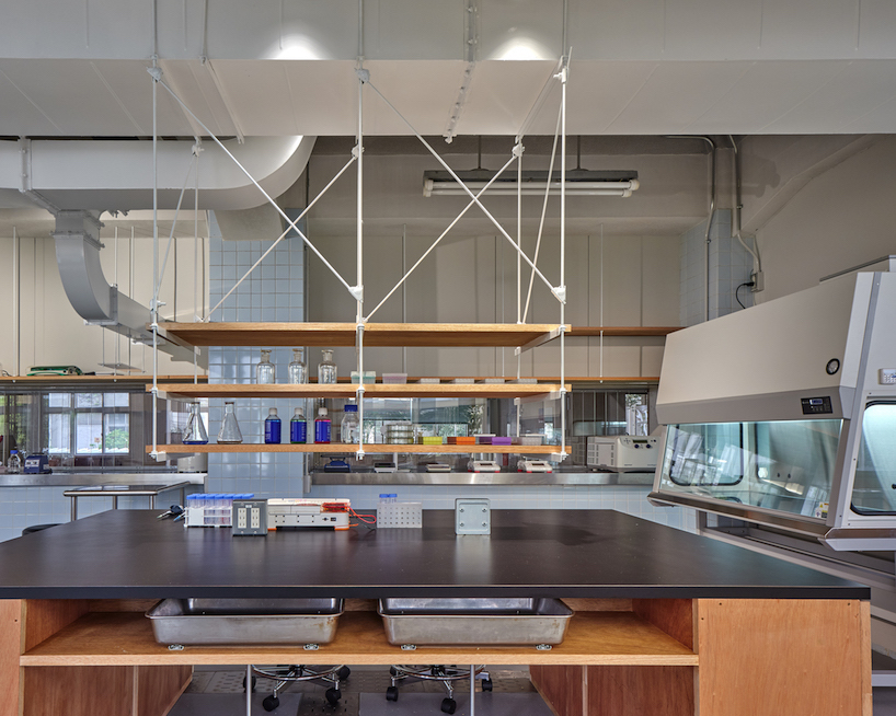 biolab at kyushu university 4