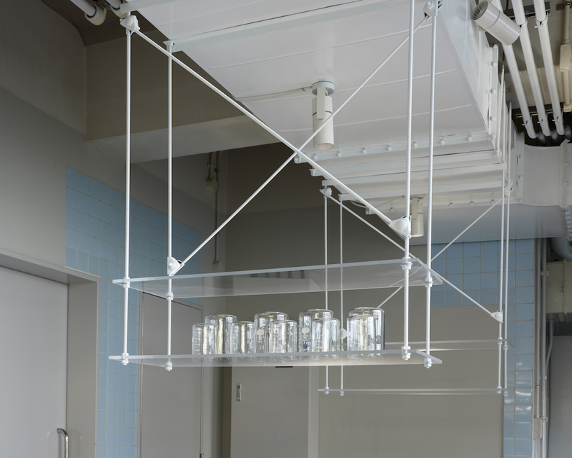 biolab at kyushu university 7