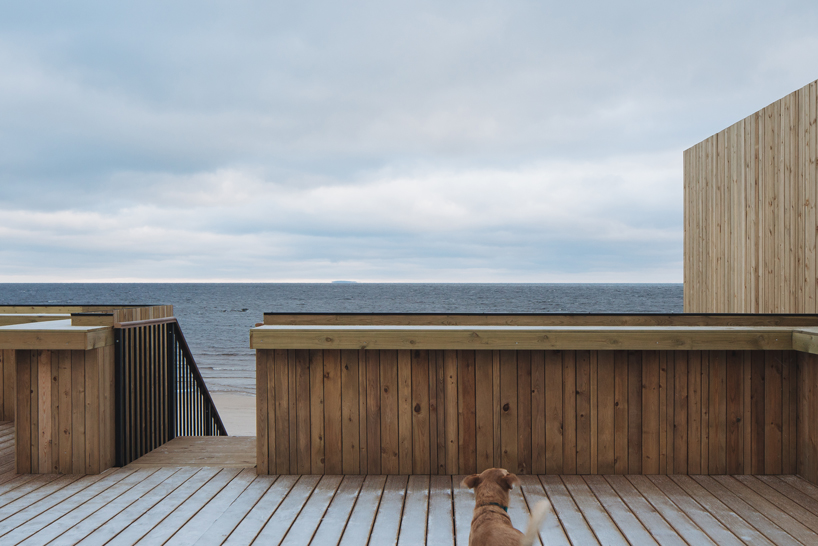 rhizome-living-room-pavilion-tochka-na-karte-priozersk-russia-08-02-2019-designboom