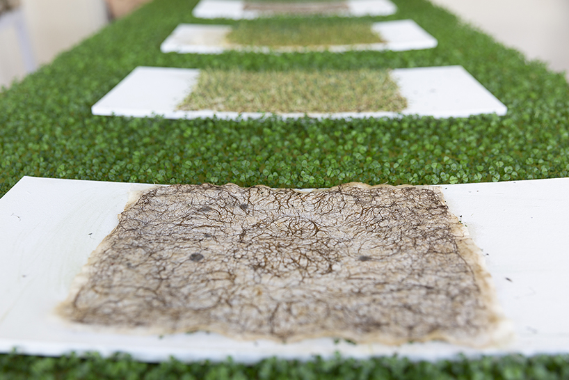affair with earth showcases hemp fur, soil furniture and paper made from fallen leaves - 8