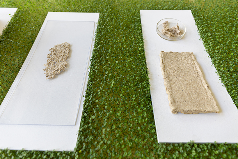 affair with earth showcases hemp fur, soil furniture and paper made from fallen leaves - 4