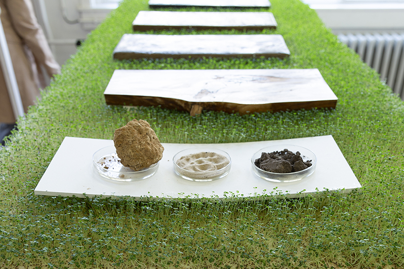 affair with earth showcases hemp fur, soil furniture and paper made from fallen leaves - 3