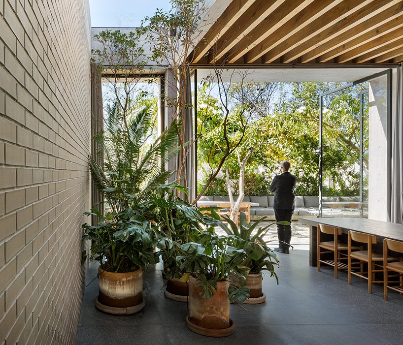 manuel cervantes combines house + studio under staggered terrace structure in mexico city