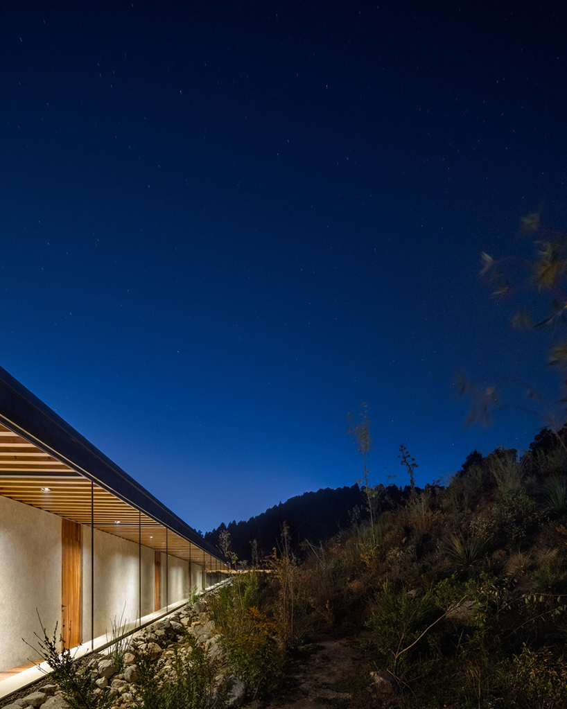 hill house is located in a wooded area on one of the slopes of a ravine taking advantage of the visuals offered by the environment generating a semi buried platform by manuel cervantes estudio 12