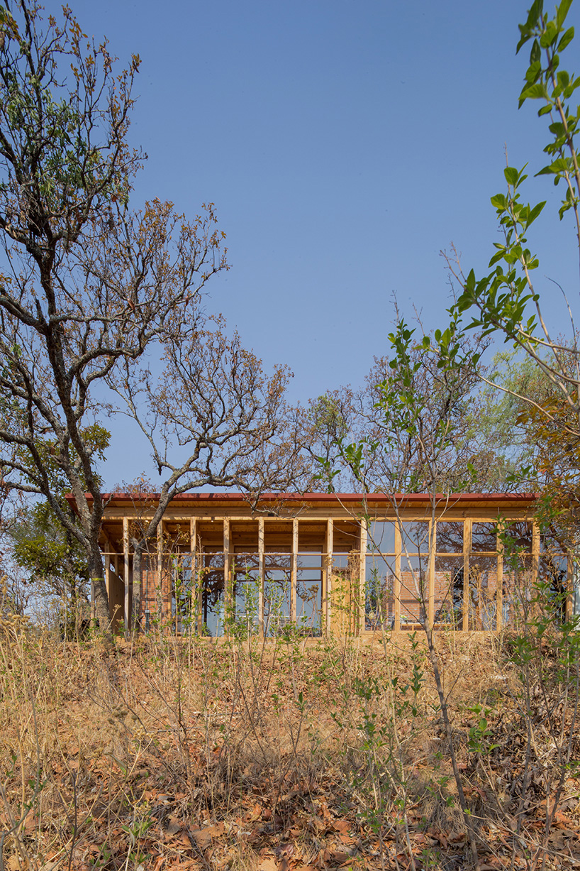 manuel cervantes estudio perches bioclimatic rural house in mexican woodlands