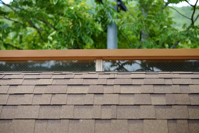 thinned trees from japanese forest compose kairi eguchi studio's barrel-shaped sauna with stepped ceiling