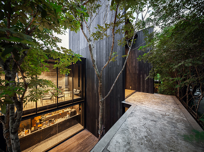black timber cladding envelops IDIN architects' tranquil office space in bangkok designboom
