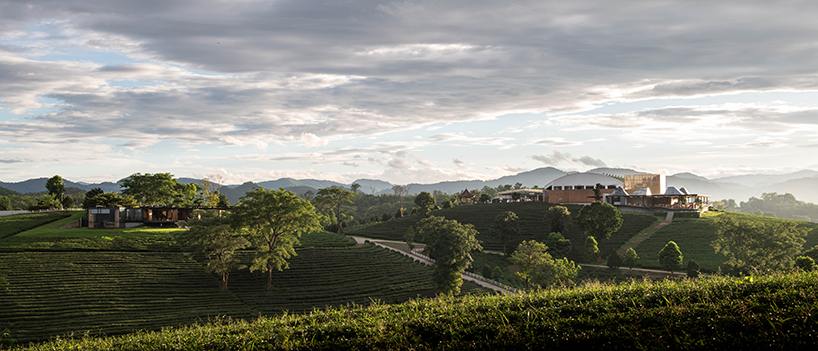 IDIN architects tops the roof of choui fong tea cafe 2 in thailand with conical skylights