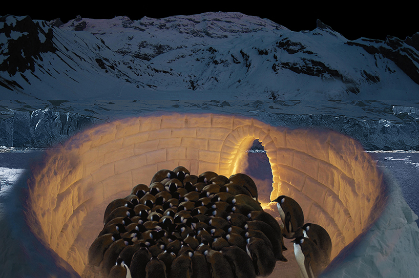 sajjad navidi's 'penguin protection system' controls the melting of polar ice designboom