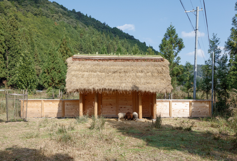 wooden sheep house kyoto