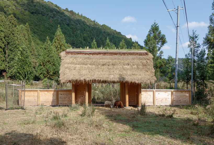 wooden sheep house kyoto