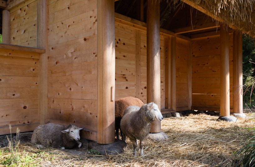 wooden sheep house kyoto