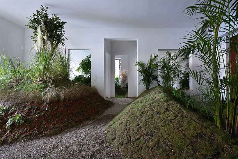 a 90 sqm rented apartment is converted into a park by DEVOLUTION designboom