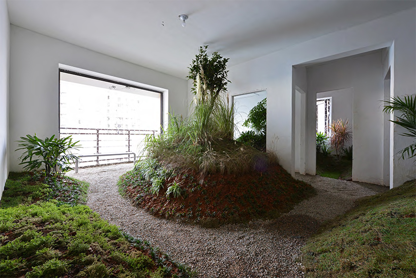 a 90 sqm rented apartment is converted into a park by DEVOLUTION designboom