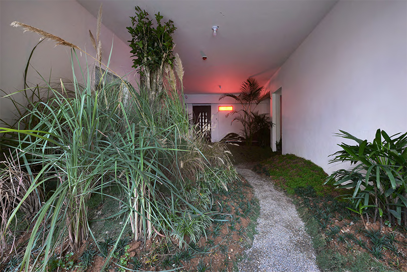 a 90 sqm rented apartment is converted into a park by DEVOLUTION designboom