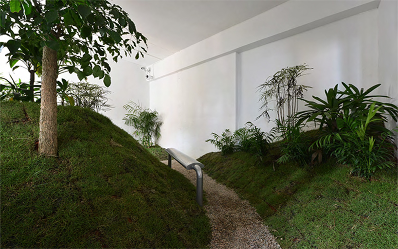 a 90 sqm rented apartment is converted into a park by DEVOLUTION designboom