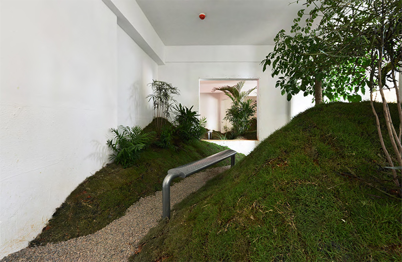 a 90 sqm rented apartment is converted into a park by DEVOLUTION designboom