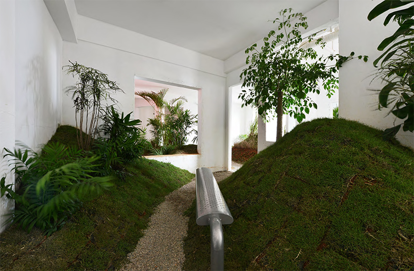 a 90 sqm rented apartment is converted into a park by DEVOLUTION designboom