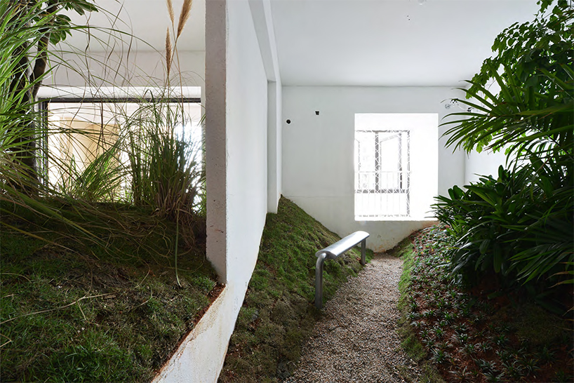 a 90 sqm rented apartment is converted into a park by DEVOLUTION designboom
