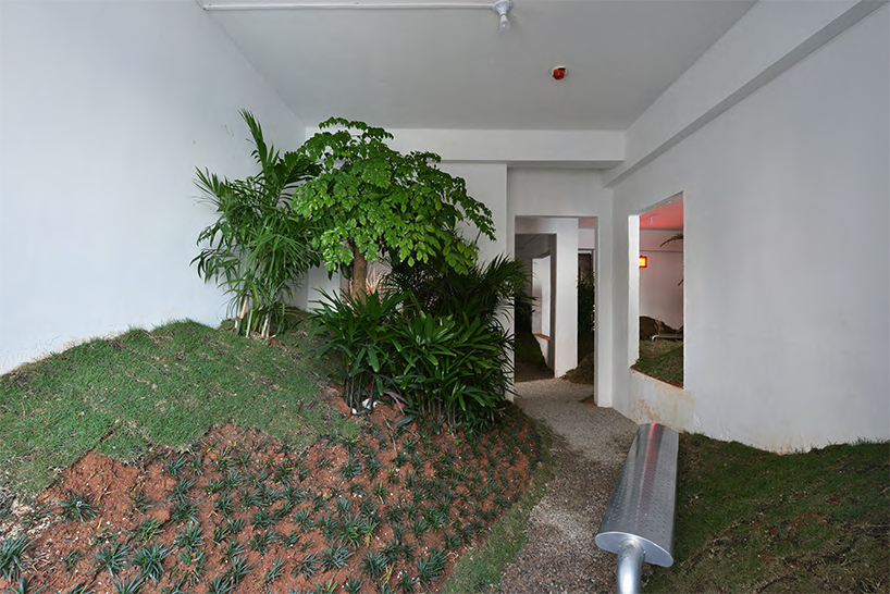 a 90 sqm rented apartment is converted into a park by DEVOLUTION designboom