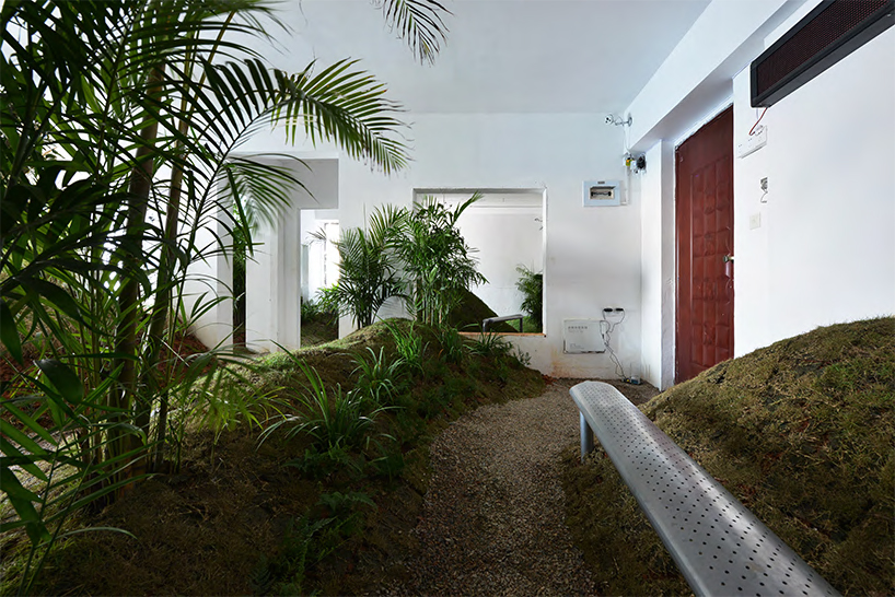 a 90 sqm rented apartment is converted into a park by DEVOLUTION designboom