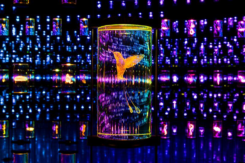 exhibition journey of the pioneers by atelier bruckner opens in dubai 9