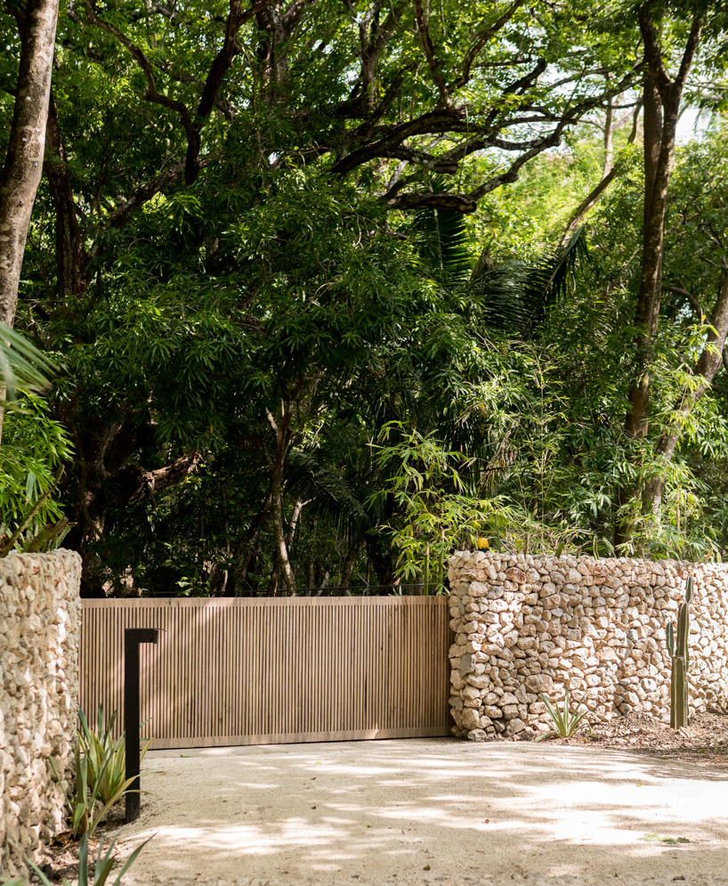 sirena house by studio saxe combines beachfront and jungle living in costa rica designboom
