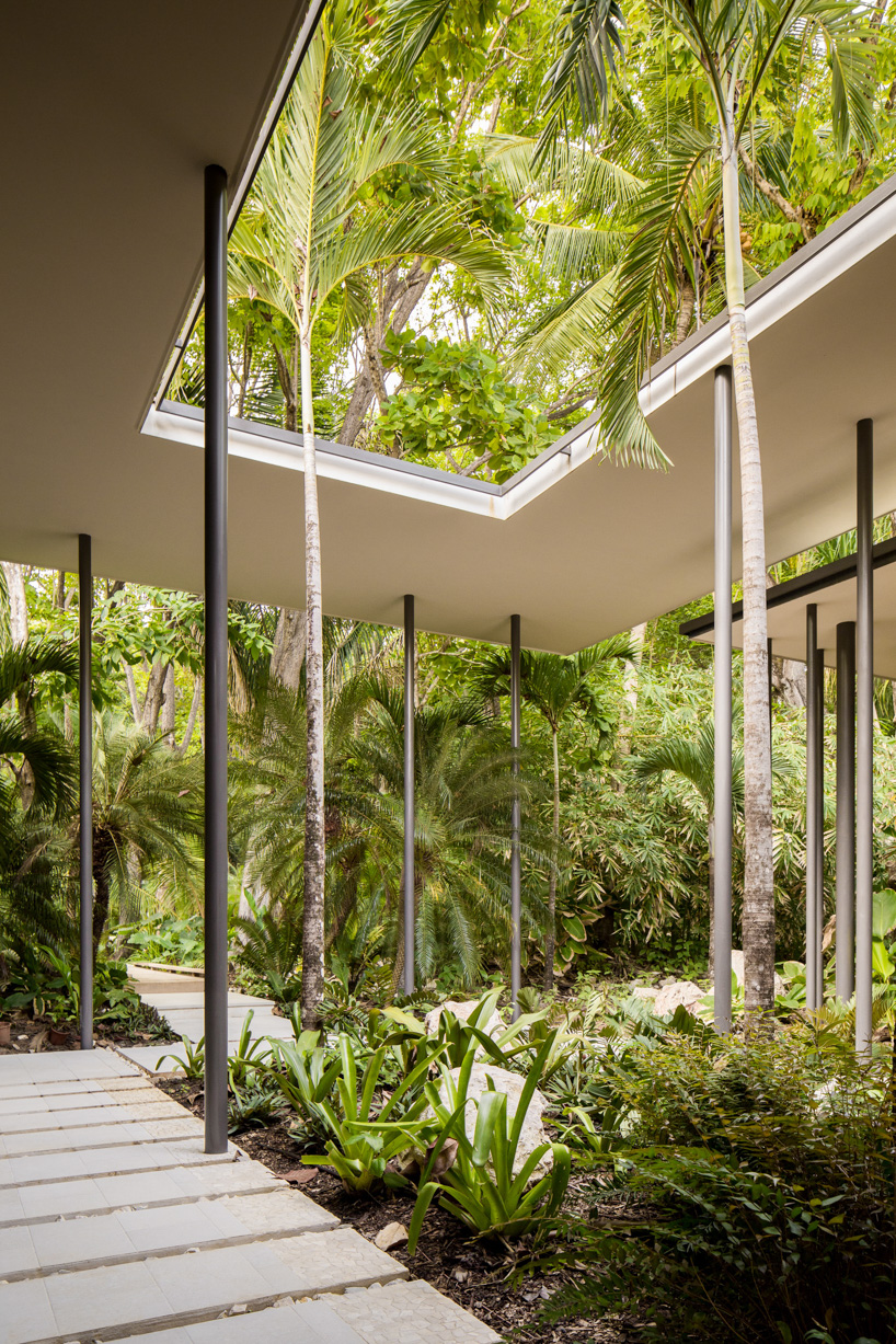 sirena house by studio saxe combines beachfront and jungle living in costa rica designboom
