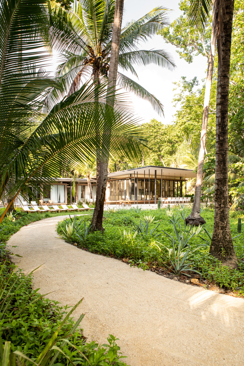 sirena house by studio saxe combines beachfront and jungle living in costa rica designboom