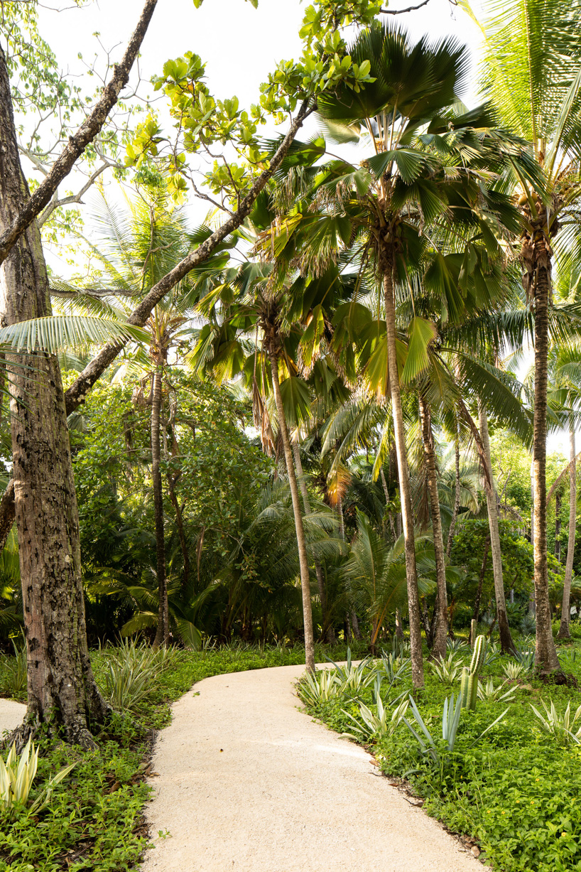 sirena house by studio saxe combines beachfront and jungle living in costa rica designboom