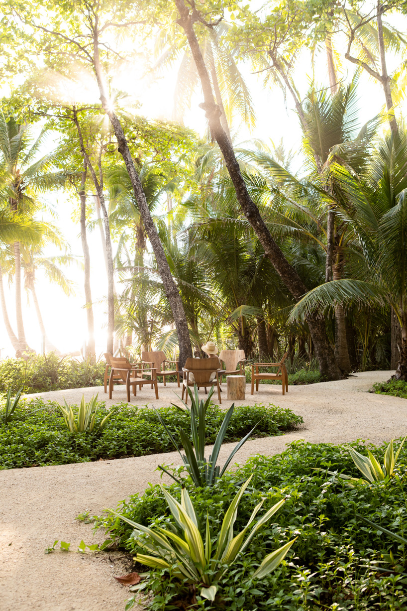 sirena house by studio saxe combines beachfront and jungle living in costa rica designboom