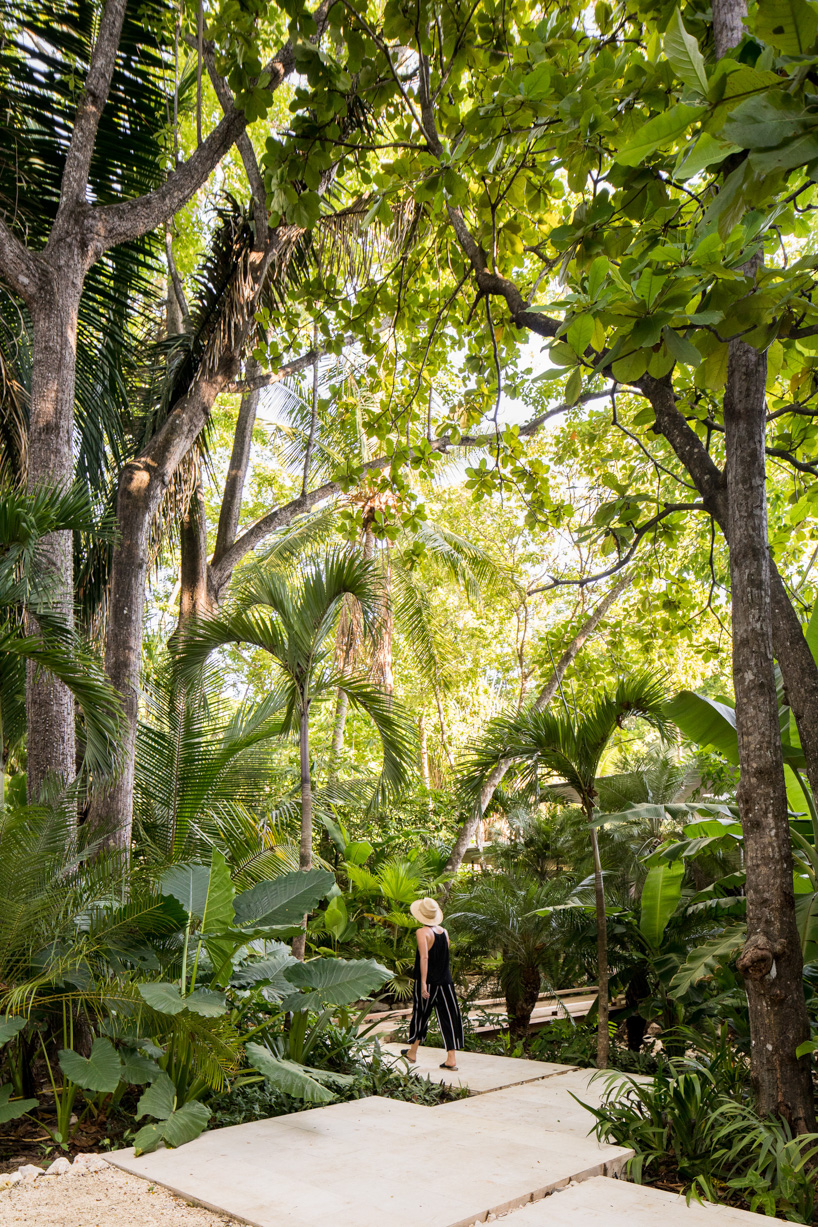 sirena house by studio saxe combines beachfront and jungle living in costa rica designboom