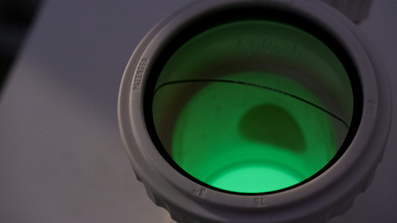 water your flowers watering branch 8