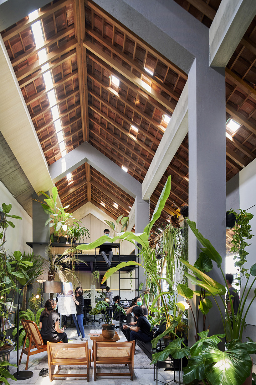 radar redefines tropicality in daily contemporary approach 6