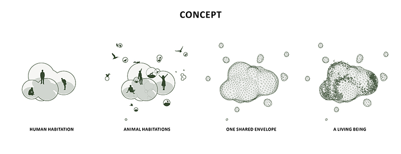 score architects designs 'cocoon' treehouse for humans, animals + nature designboom