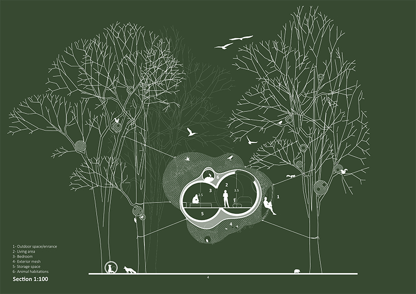score architects designs 'cocoon' treehouse for humans, animals + nature designboom