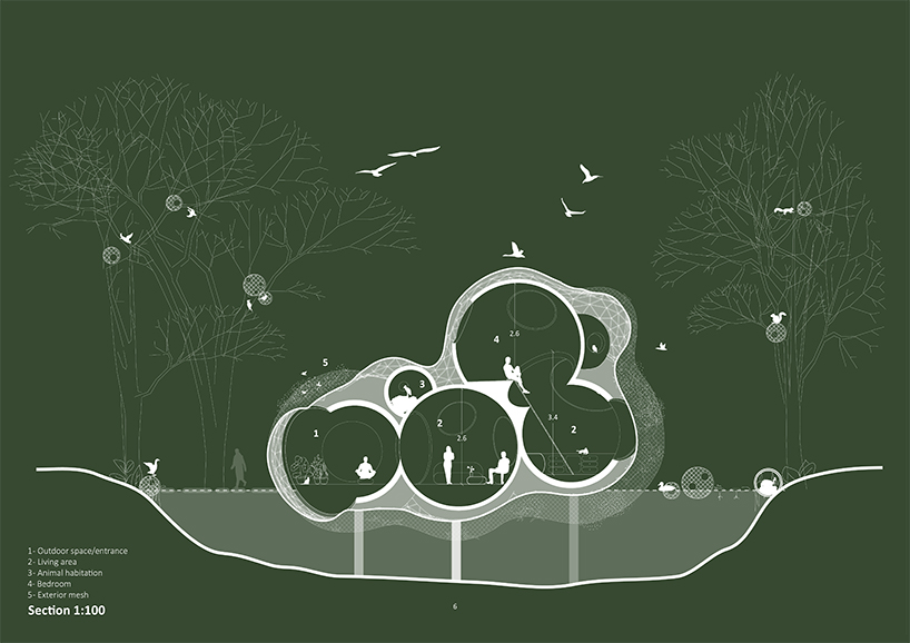 score architects designs 'cocoon' treehouse for humans, animals + nature designboom