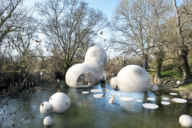 score architects designs 'cocoon' treehouse for humans, animals + nature designboom