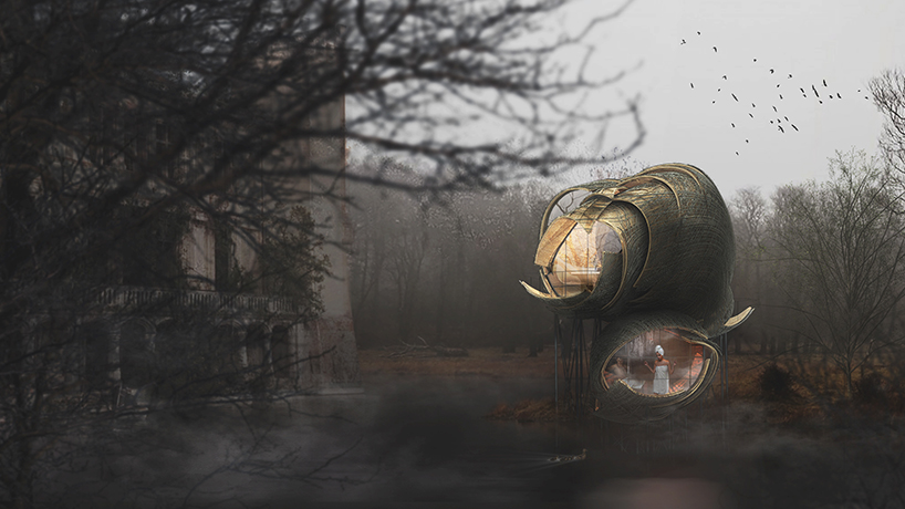 the wasp nest a neglected relationship 1