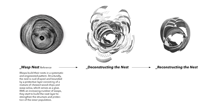 the wasp nest a neglected relationship 2