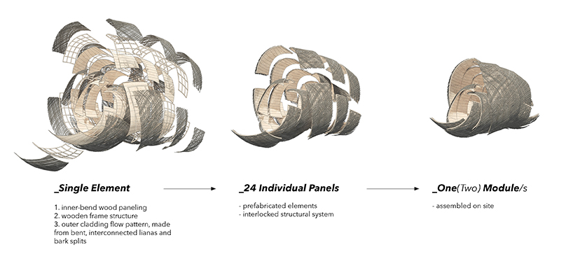 the wasp nest a neglected relationship 3