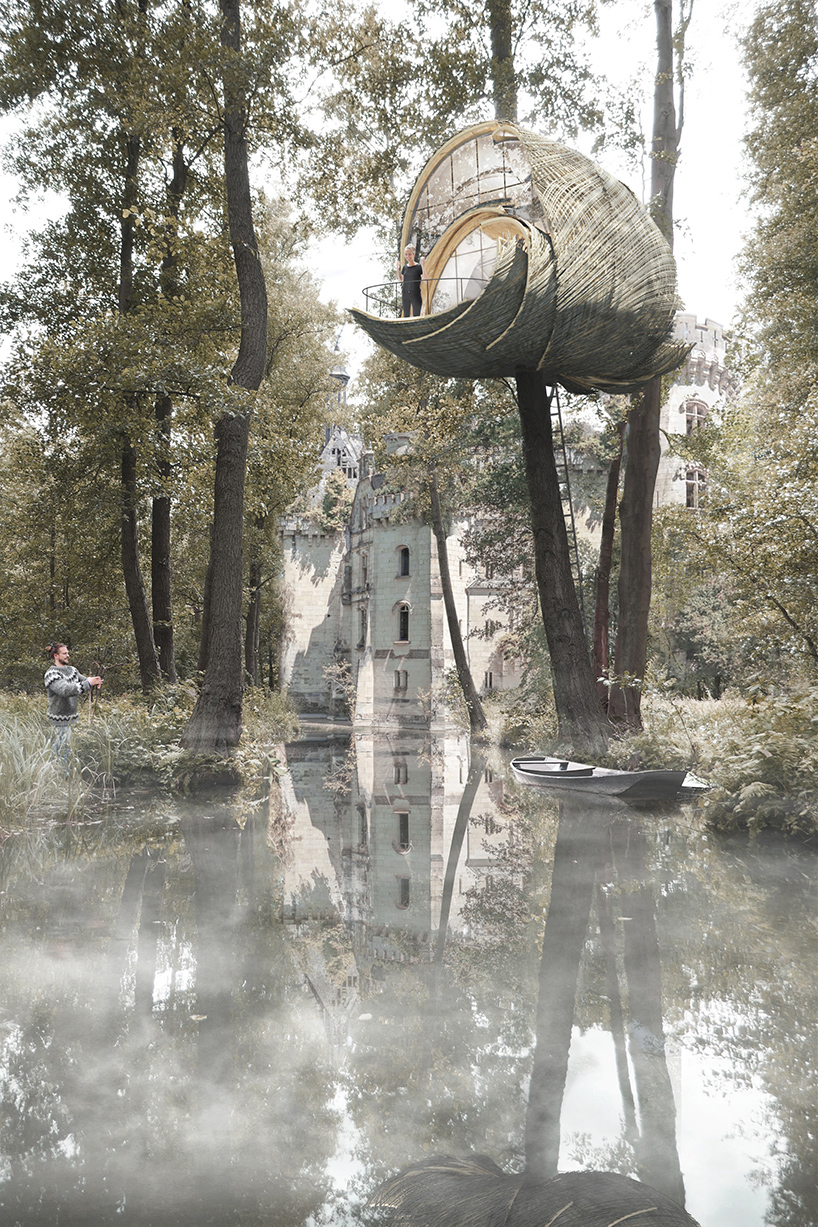 the wasp nest a neglected relationship 4