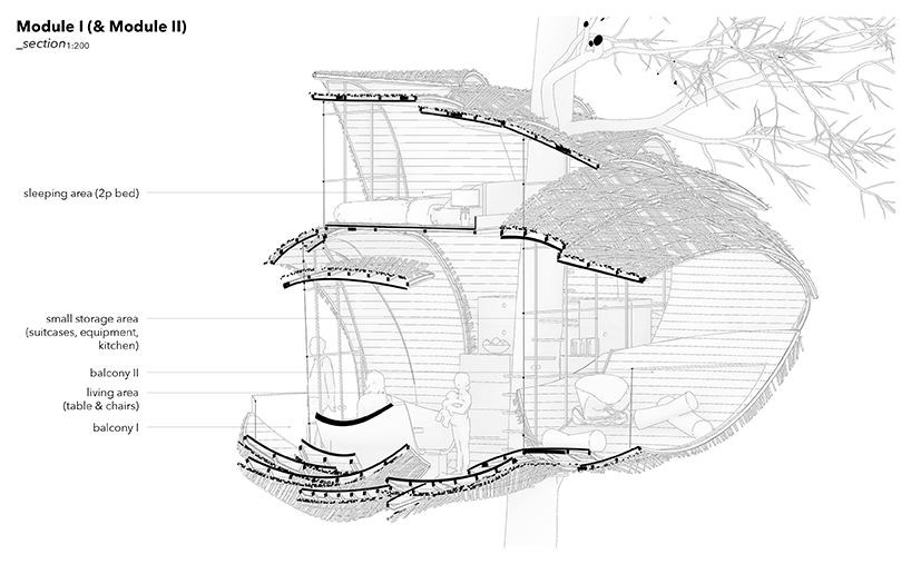 the wasp nest a neglected relationship 5